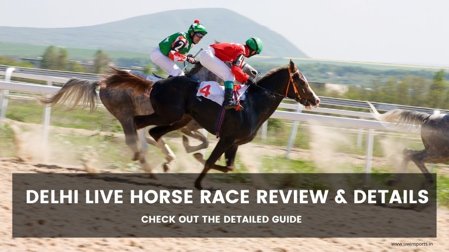 Delhi Live Horse Race Review & details